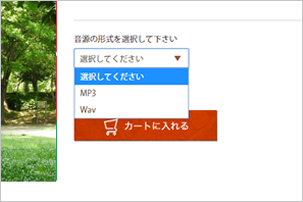 音源の形式を選択し、「カートに入れる」をクリックしてください